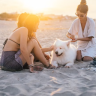 Pet friendly per feste e compleanni